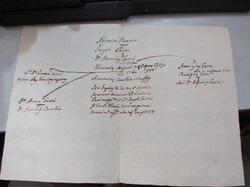 Sicilia 1730 albero - sicilia,