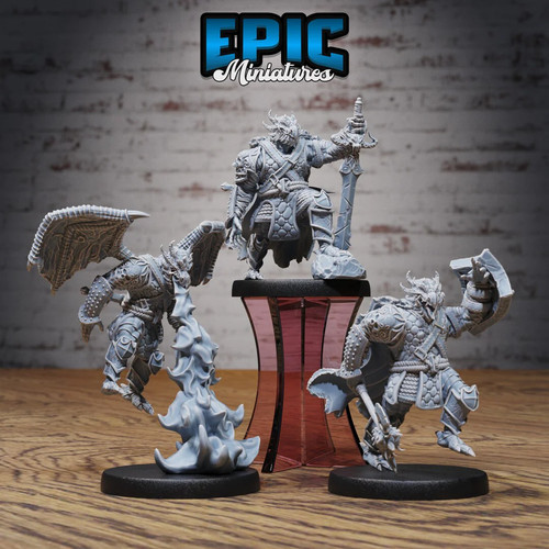 Dragonborn fighter miniatura - fighter,