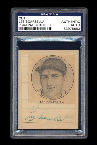 Les scarsella firmato taglio - les,