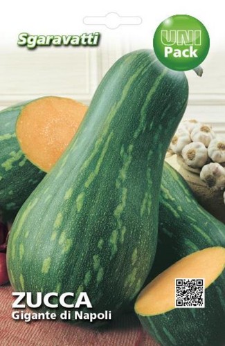 Zucca gigante napoli - zucca,