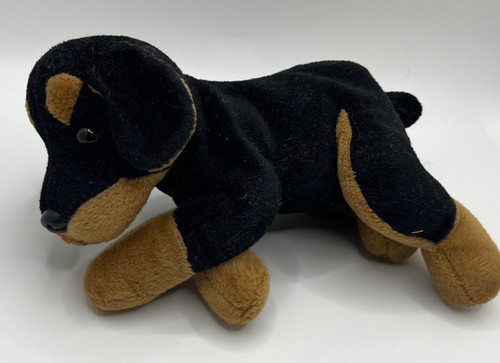 Roxy doberman cucciolo cane - doberman,