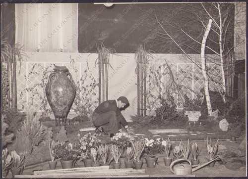 1959 udine giardiniere - 1959,