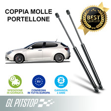 Pistoni Portellone, Molle a