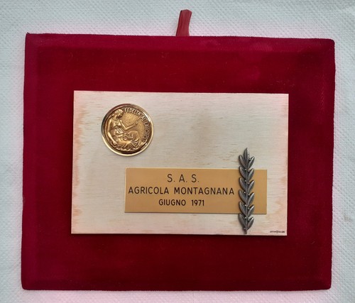 Targa commemorativa fedeltà - targa,