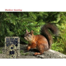  Osservazione All'aperto