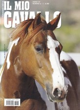 St2c - IL MIO CAVALLO Nr. 6
