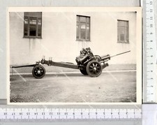 LIA 39) CANNONCINO CANNONE