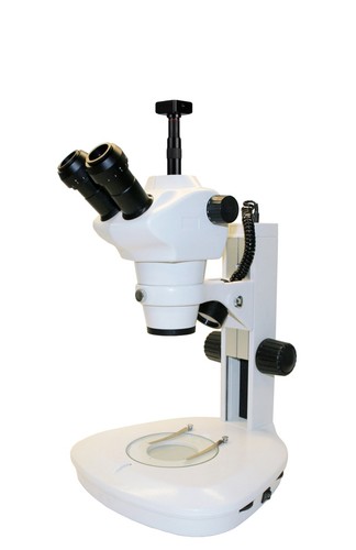 Microscopio trinoculare