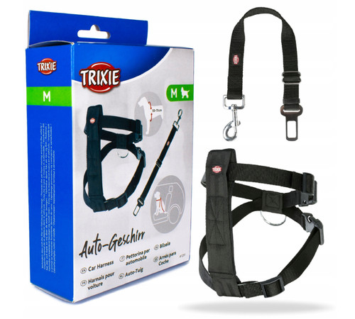 Cintura sicurezza auto - cintura,