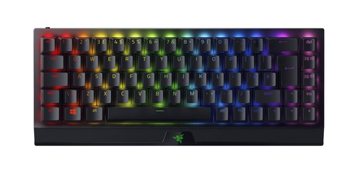 Razer blackwidow mini - blackwidow, v3