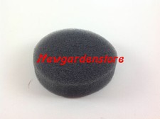 Filtro aria tagliaerba ORIGINALE KAWASAKI FG150G 49064-2068