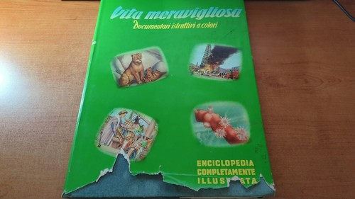 Vita meravigliosa vol.II-
