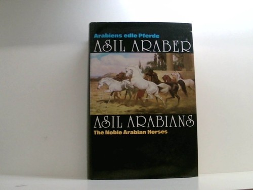 Asil araber - araber, arabians