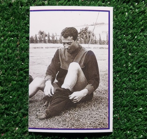 Figurina svima fiorentina 1994 - figurina,