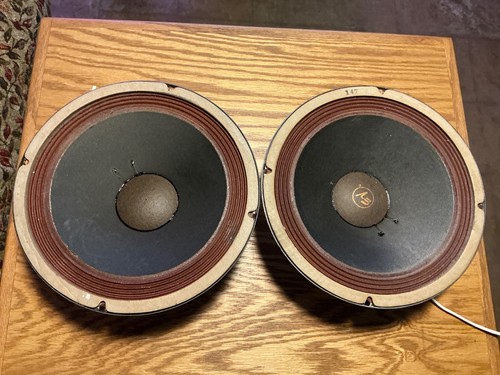 Coppia diffusori woofer - , 10"