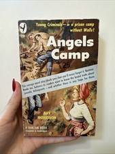 ANGEL'S CAMP by Ray Morrison