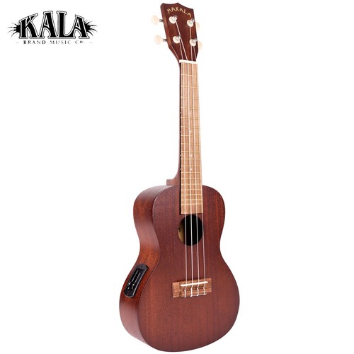 Ukulele elettrico acustico