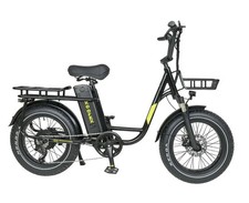 Bicicletta Elettrica 20