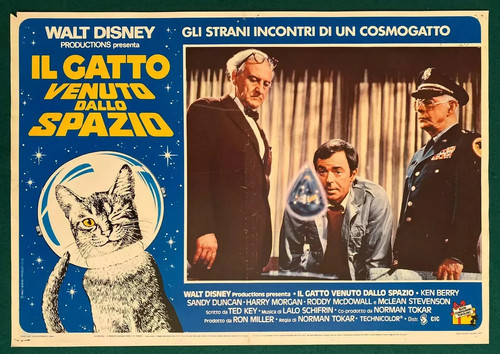Fotobuste gatto venuto - 3, il