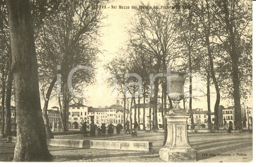 1907 padova veduta - veduta, centro