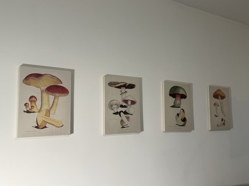 Confezione quadri ikea - da,
