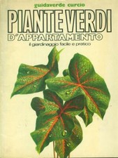 PIANTE VERDI D'APPARTAMENTO 7