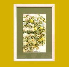 Achillea bianca e meline