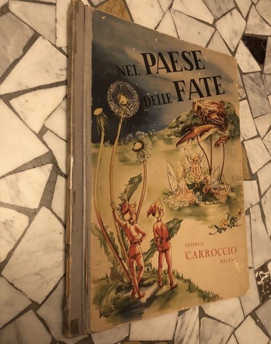 Nel paese delle - nel, fate