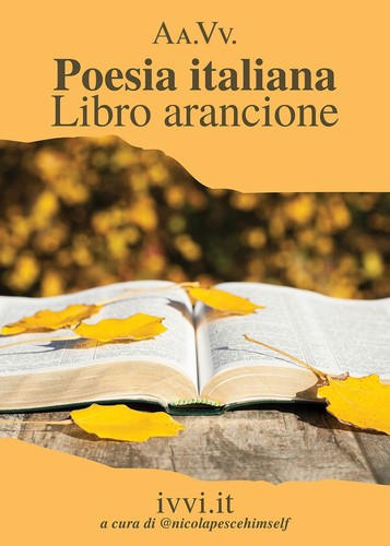 Poesia italiana libro - poesia,