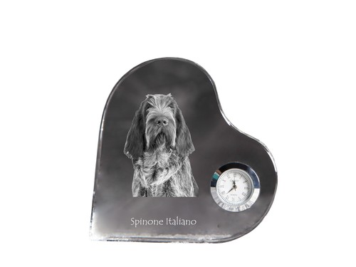 Spinone italiano orologio - , a