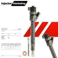 0445110010 Iniettore Iniettore