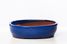 Vaso bonsai smaltato ovale - , cm