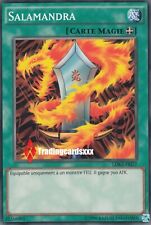 ♦Yu-Gi-Oh!♦ Salamandra 