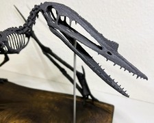 Scheletro di pterosauro
