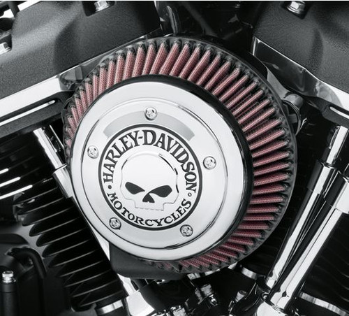 Harley davidson willie skull - davidson,