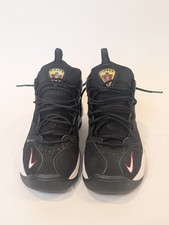 Taglia 10.5 - Nike Air Pippen
