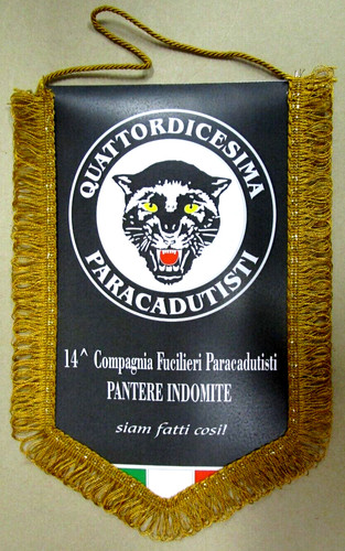 Gagliardetto cp - gagliardetto, "14^