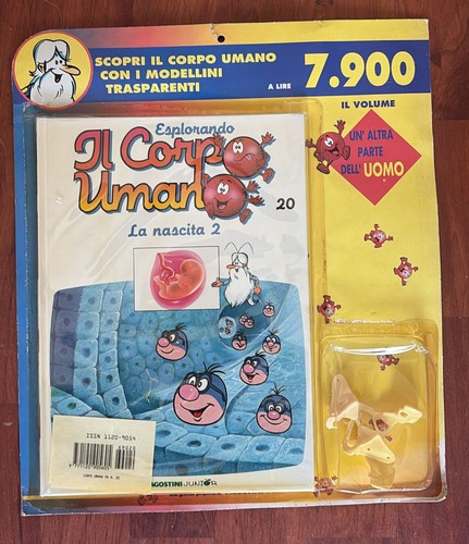 Esplorando corpo - esplorando,