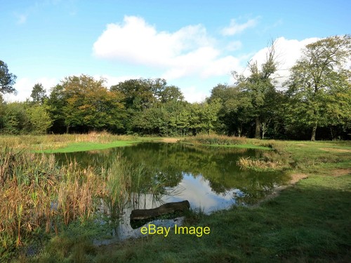 Photo 6x4 pond - photo, top