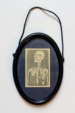 Alberto I di Monaco - Principe