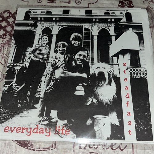Vinyl steadfast everyday - steadfast,