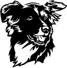 Adesivo Border Collie -