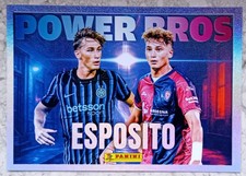 Figurina Calciatori Panini