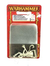 Dark Elf Beastmaster - Dark