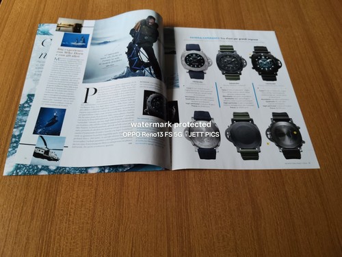Panerai submersibile mike horn - panerai,