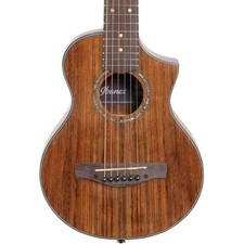 Ibanez EWP14 Travel Acoustic