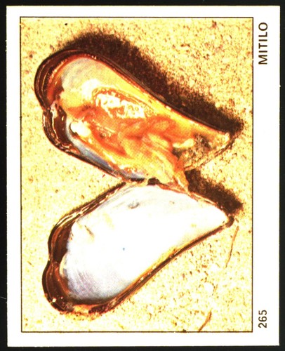 Mondo degli animali - mondo,