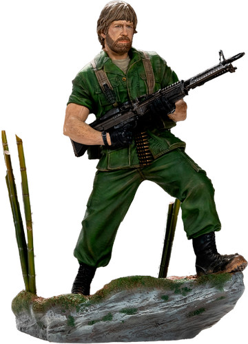 Missing action chuck norris - in,