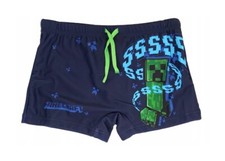 MINECRAFT : CREEPER SSSS -