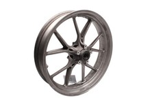 Cerchio anteriore Marchesini a